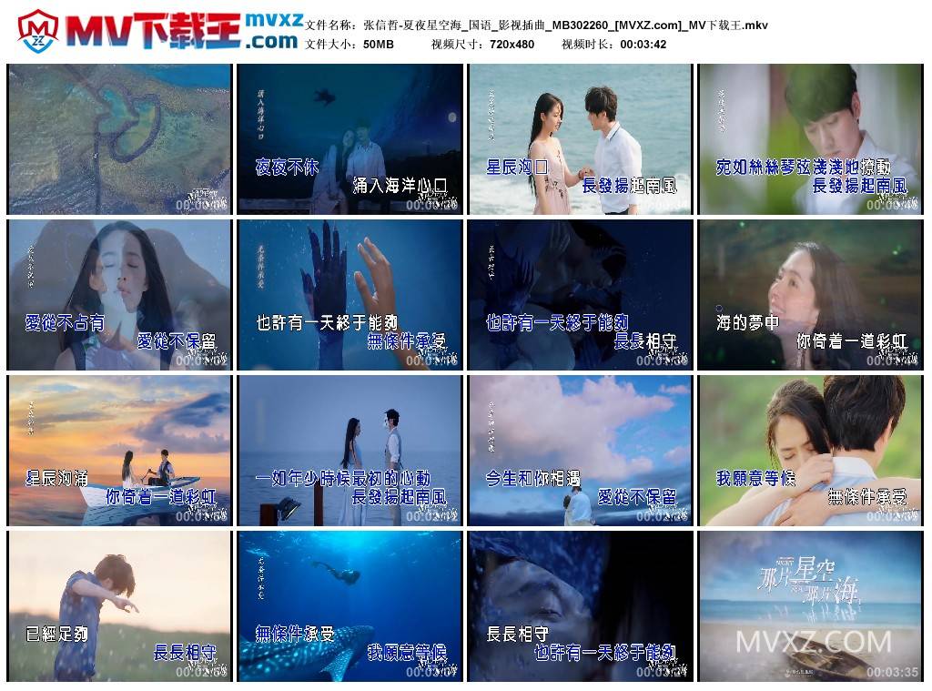 张信哲-夏夜星空海_国语_影视插曲_MB302260